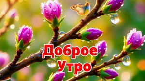 Доброе утро: музыкальные открытки и пожелания | Домохозяйка Ната