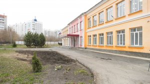 Вырубленные деревья мешали благоустройству школы