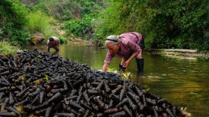 Бабушка научит вас готовить вкуснейших диких горных улиток.