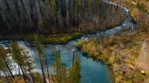 Я ПРОЖИЛ ЖИЗНЬ СВОИХ ЖЕРТВ и это был мой ад ОКОЛОСМЕРТНЫЙ ОПЫТ