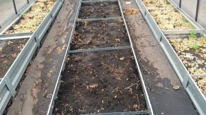 Перебираю семена,что сажать в теплицу,топлю печку