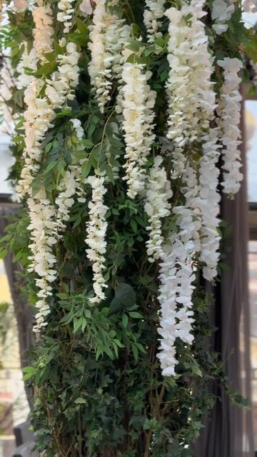 Сезонное оформление белой глицинией