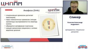 Деление клетки