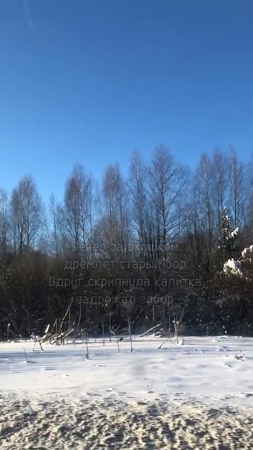 Новая история Красной Шапочки - рассказ Бабушки Началась_история_со_стихов_Григория_Валовенко_