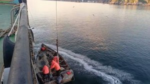 ПРИЕМКА КРАСНОЙ РЫБЫ , ПРОРЕЗЬ КУНГАС