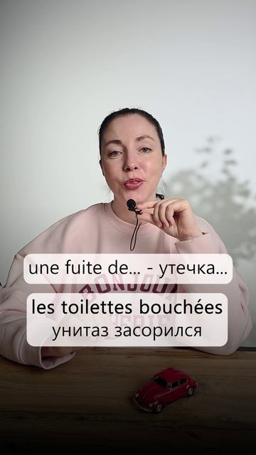  Chuchotement en français  Поломки и неисправности в квартире
