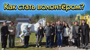 Стань волонтёром-организатором на Добро.ру | Новополье | ЛГУ им. А.С. Пушкина | Инклюзивная практика