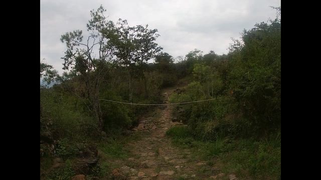 Колумбия: Баричара - Гуане