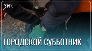 Администрация Читы выйдет с жителями города на масштабный субботник