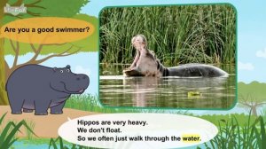 Hippo