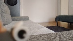 развлекательный комплекс зверятыши 2подземелье#03(серый)