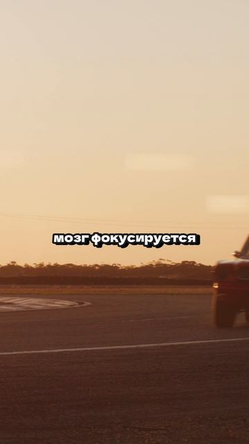 СЕЙЧАС БУДЕТ МНЕНИЕ, С КОТОРЫМ МНОГИЕ НЕ СОГЛАСЯТСЯ