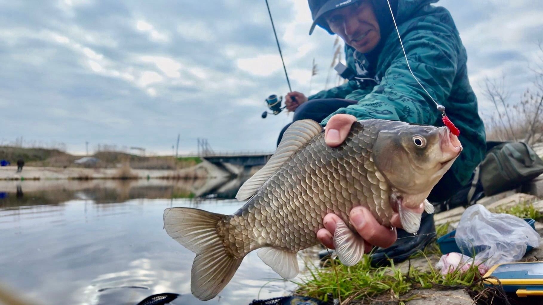 ОГРОМНЫЕ КАРАСИ ДУРОМ ПРУТ НА СПИННИНГ! РЫБАЛКА НА КРАСНУЮ ЛИЧИНКУ