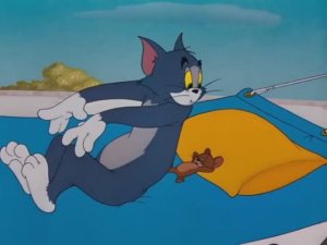 Tom & Jerry | Tom gets a surprise delivery 📦