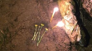 ПУСЁНОК УШЁЛ В ВЕЧНОСТЬ...