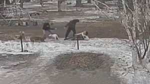 Пьяный мужчина избил и натравил собаку на женщину в Омске.