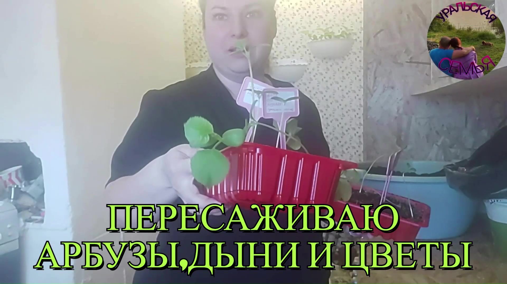 Садовод‑любитель: арбузы пикирую, цветы сажаю, надеюсь на чудо