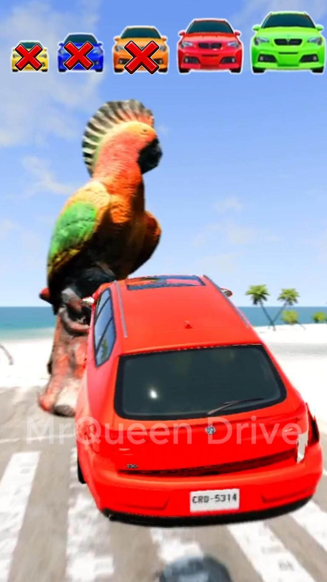 БОЛЬШАЯ И МАЛЕНЬКАЯ МАШИНКА ПРОТИВ ПОПУГАЯ