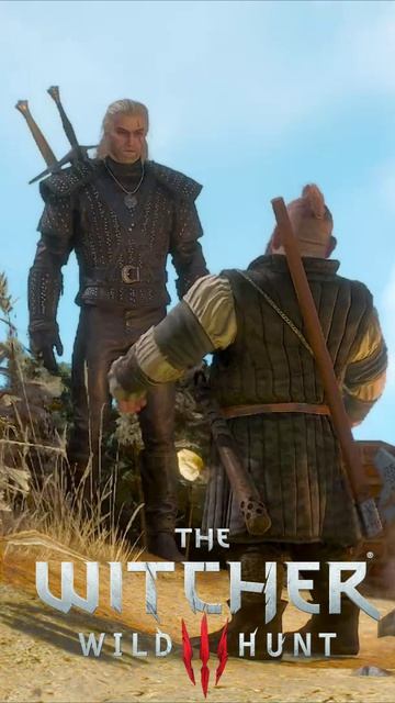 Хороший это план! Золтан недоумевает, Геральт объясняет. The Witcher 3 - Wild Hunt