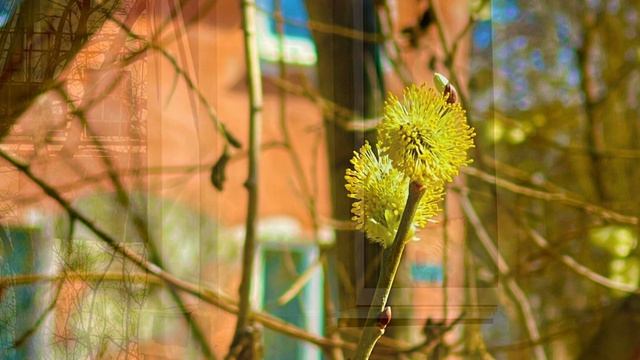 Краски весны 🎨🌱🌾🌼
