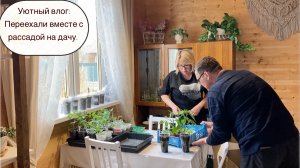 Уютный влог: Переехали вместе с рассадой на дачу.