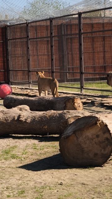 Вот и поговорили
