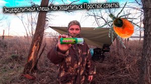 Энцефалитные клещи: как защититься? Простые советы.