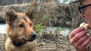 ОБЕДАЕМ С ПОДРУГОЙ