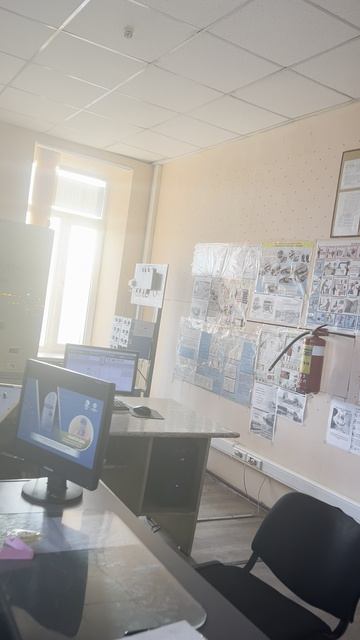 КО МНЕ НА РАБОТУ ЗАЛЕТЕЛА ПТИЧКА.