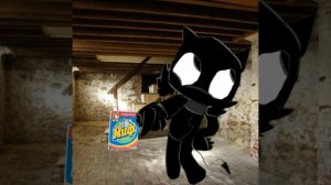 обожаю  стиральный порошок