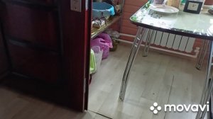 Готовлю щи,убралась в доме,вынесла пеларгонии в теплицу.Новый колеус