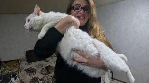 Алиса Неземная. ЗАЕХАЛИ КУПИТЬ КОРМА,ЧТОБ КОТЫ НЕ ПОХУДЕЛИ