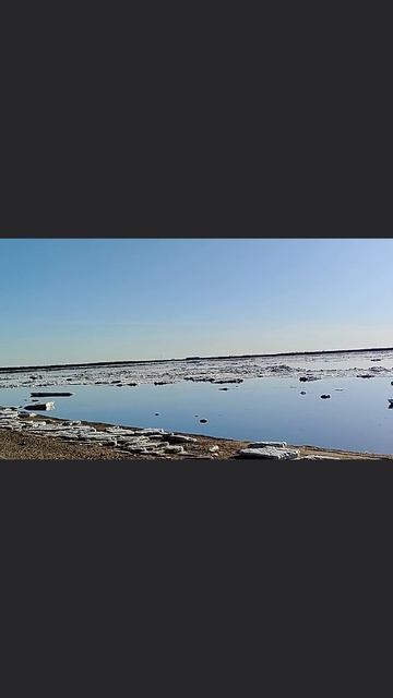 У нас ледоход. Очень рано для Севера