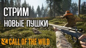 Охота с новыми пушками в theHunter: Call of the Wild. Вышло ДЛС