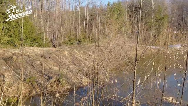 Весенняя прогулка по пасеке