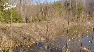 Весенняя прогулка по пасеке