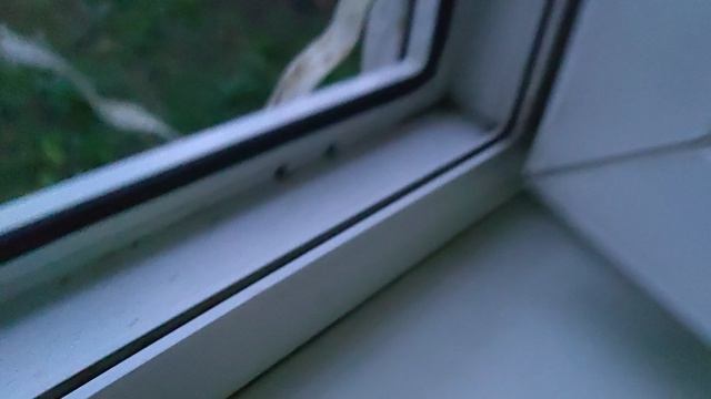 Вечер вторника 14 апреля.