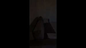 Волгоград 70-летие победы