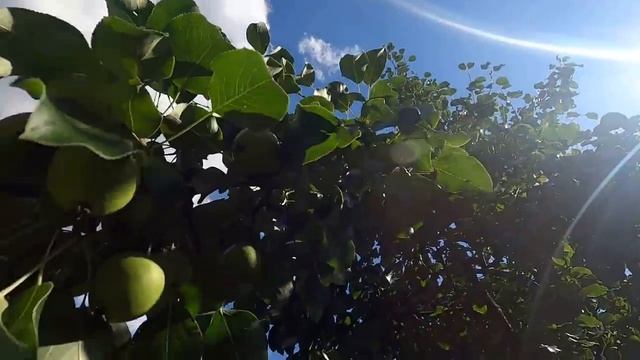 УВИДАВ ЭТОТ ЛЕТНИЙ ДУШ#СОСЕДИ ТОЖЕ ЗАХОТЕЛИ ТАКОЙ