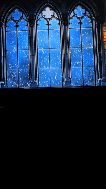 Вид из окна замка shorts linkinpark проекция