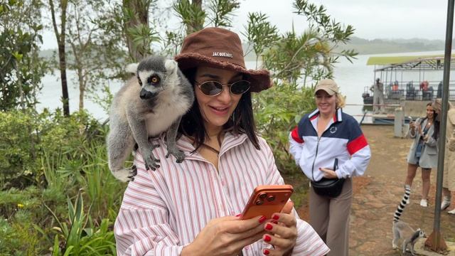 Парк обитания лемуров