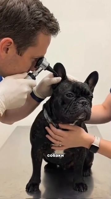 Пробиотик #WW289330 Как раз цена сейчас очень приятная🔥