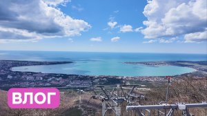 Влог | Поездка в Архипо-Осиповку и Геленджик | Сафари-Парк | Дельфины