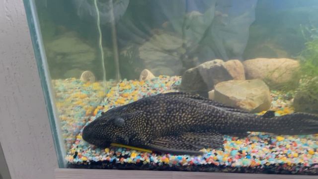 Ботанический сад в Кемерово