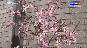 Гидрометцентр прогнозирует потепление в КБР