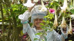 На север Тайланда 12. Деревня монов. Wat Phrasat Doi Suthep..mp4