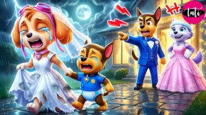 Щенячий патруль и Маршалл. Залипательное видео. Мультфильм для детей и малышей. Анимация 400