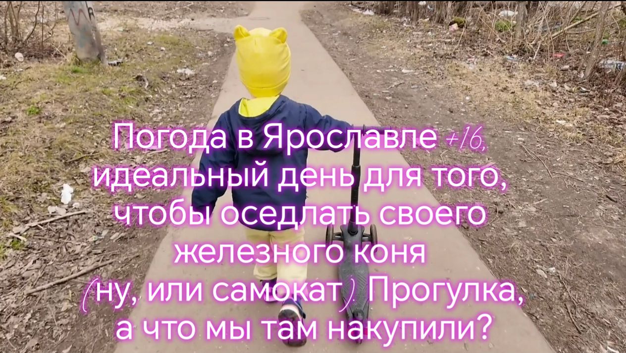 Погода в Ярославле +16, идеальный день для того, чтобы оседлать  самокат! 😁👏