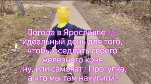Погода в Ярославле +16, идеальный день для того, чтобы оседлать  самокат! 😁👏