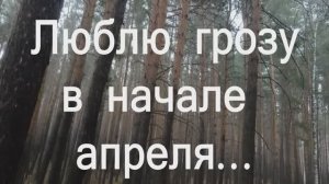 Люблю грозу в начале апреля